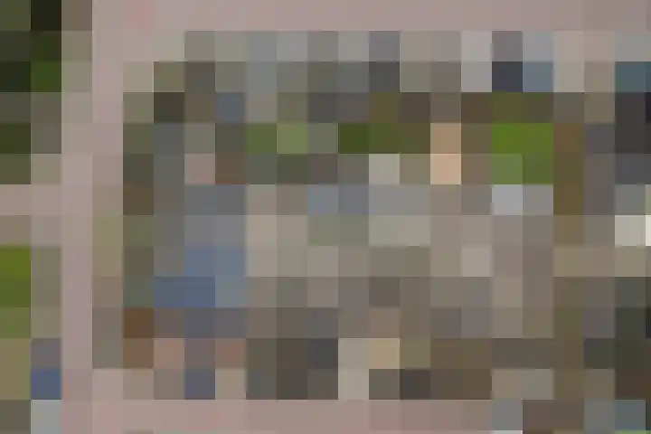 Roerdompstraat 16 Strijen thumbnail 37