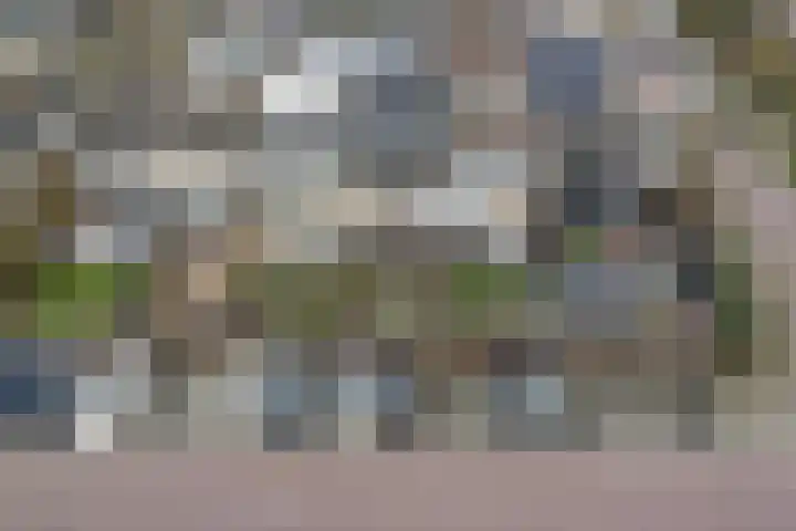 Roerdompstraat 16 Strijen thumbnail 38