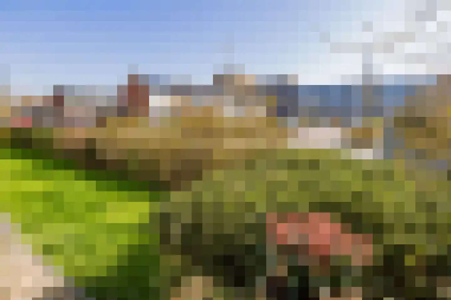 Roerdompstraat 18 Alphen aan den Rijn thumbnail 14