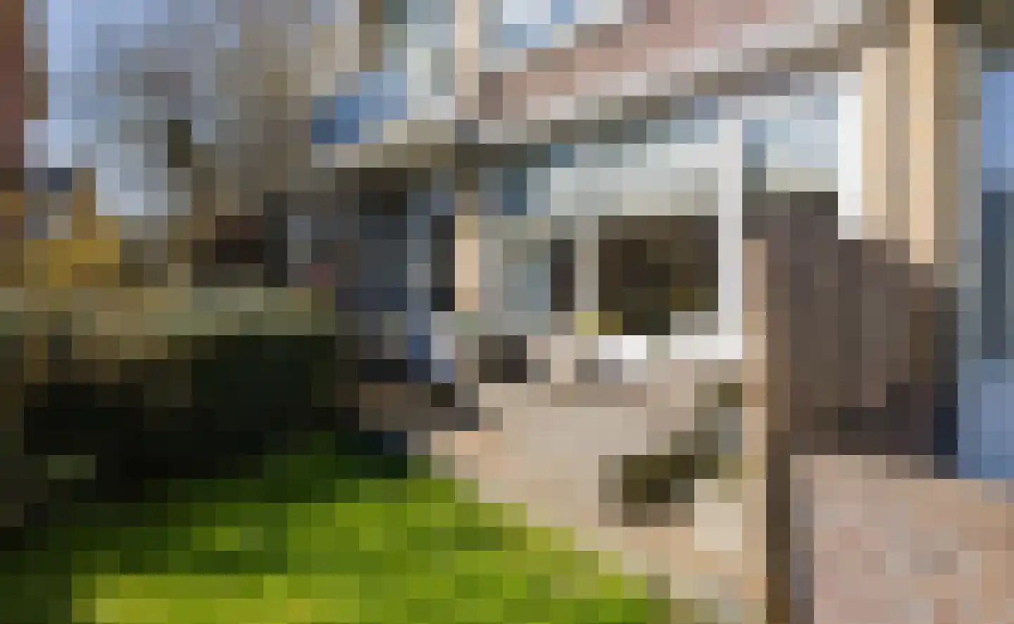 Roerdompstraat 18 Alphen aan den Rijn thumbnail 15