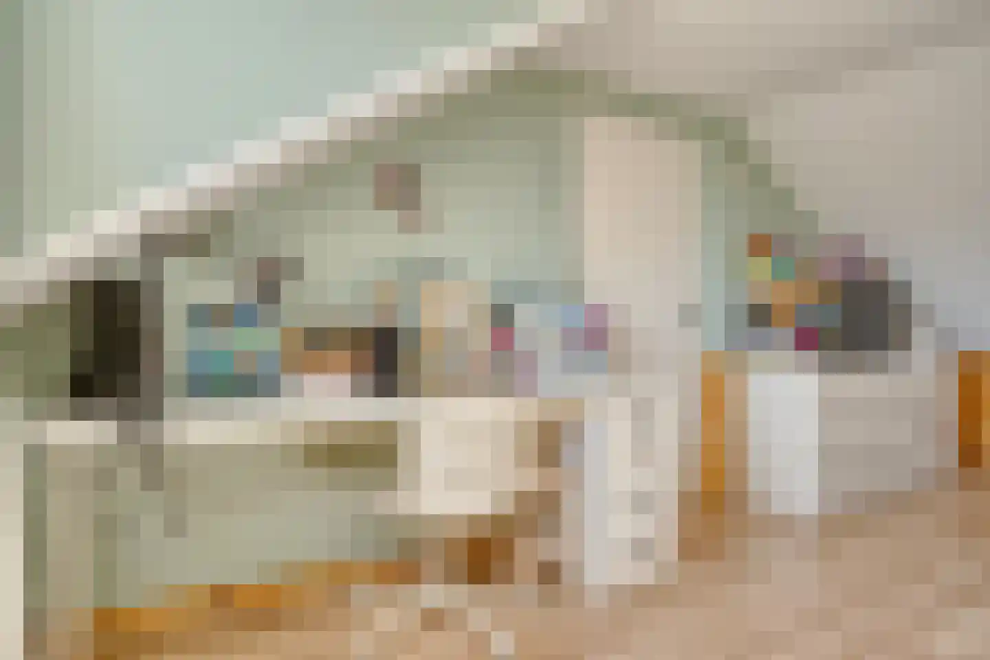 Roerdompstraat 18 Zwijndrecht thumbnail 33