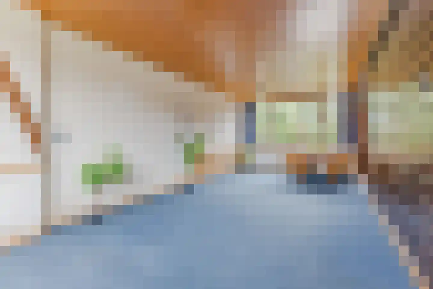 Roerdompstraat 19 Westzaan thumbnail 11
