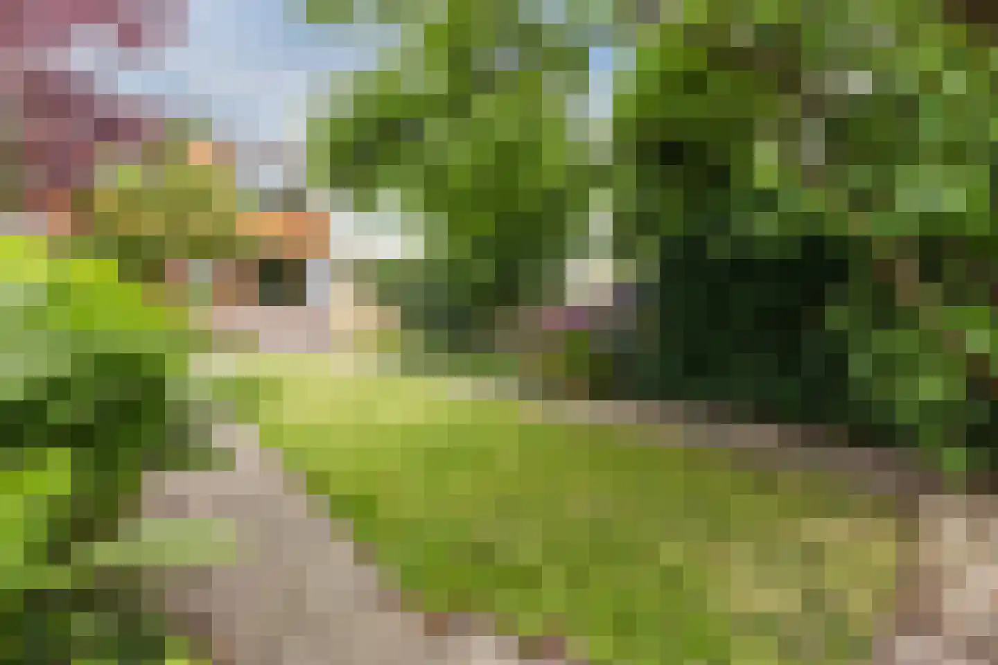 Roerdompstraat 19 Westzaan thumbnail 36