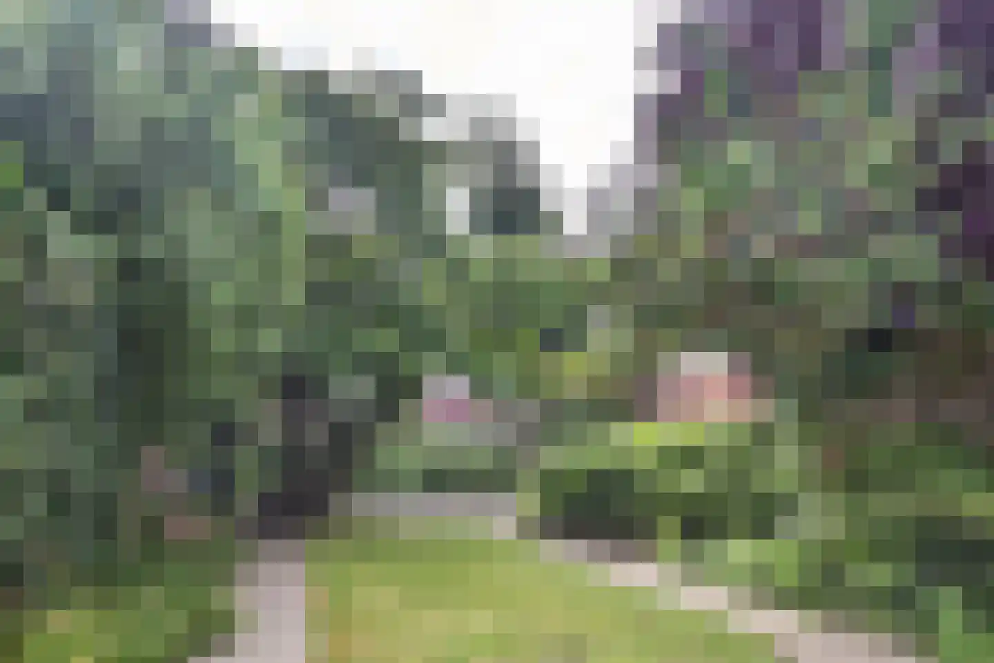 Roerdompstraat 19 Westzaan thumbnail 38