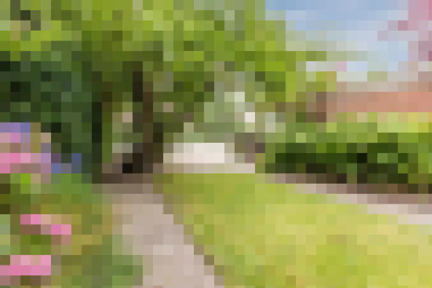 Roerdompstraat 19 Westzaan thumbnail 4