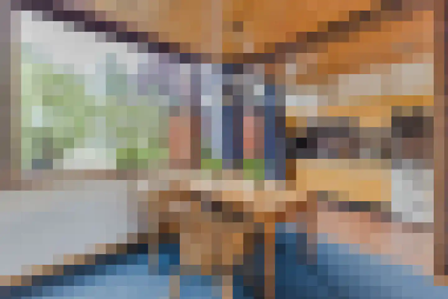 Roerdompstraat 19 Westzaan thumbnail 5
