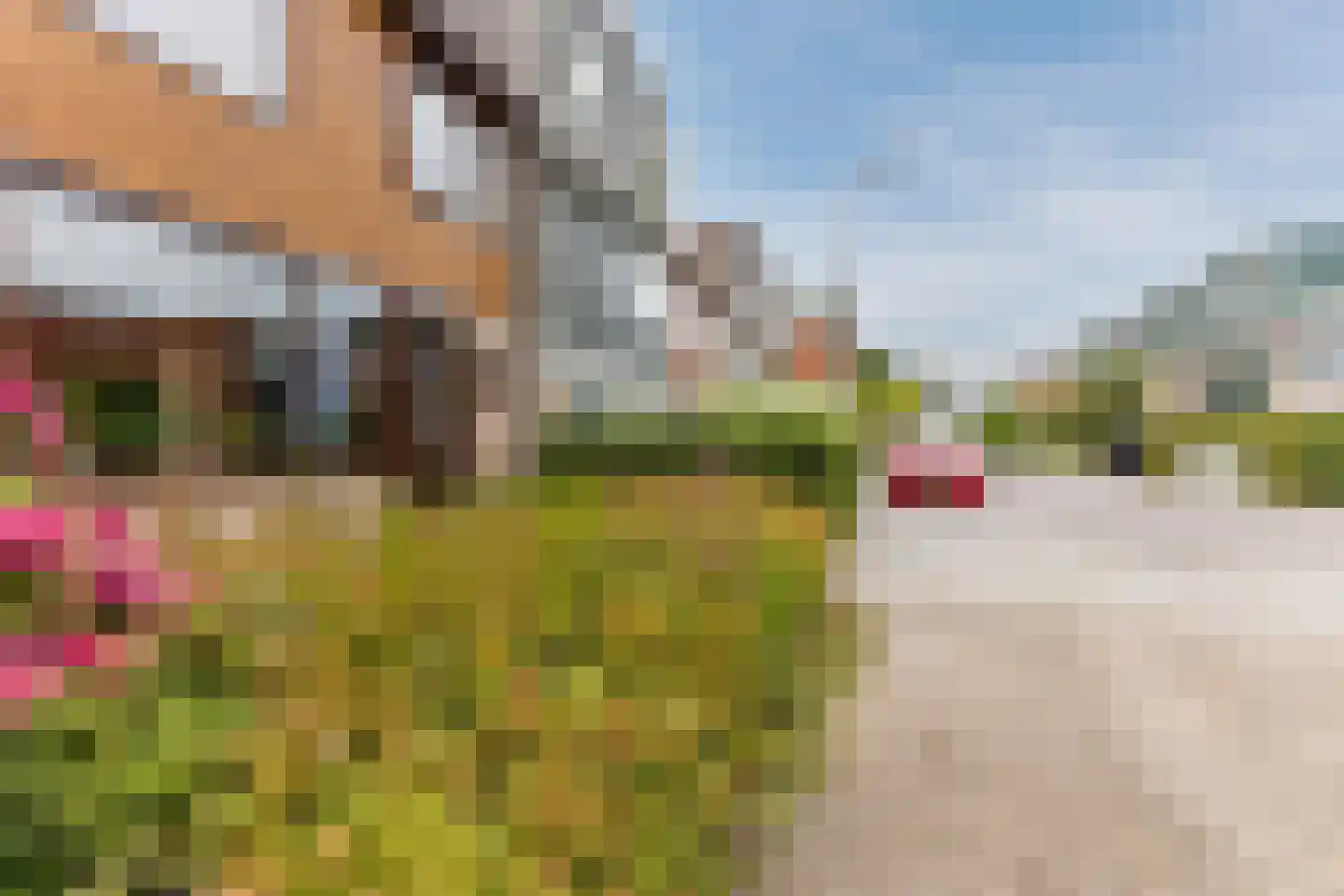 Roerdompstraat 19 Westzaan thumbnail 6