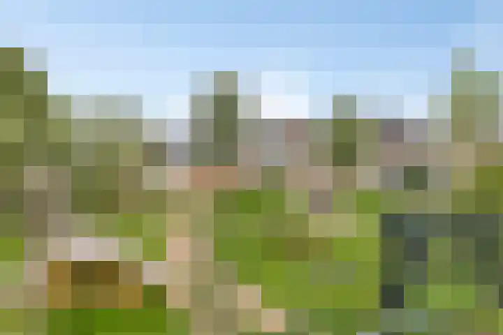 Roerdompstraat 2 Uitgeest thumbnail 33