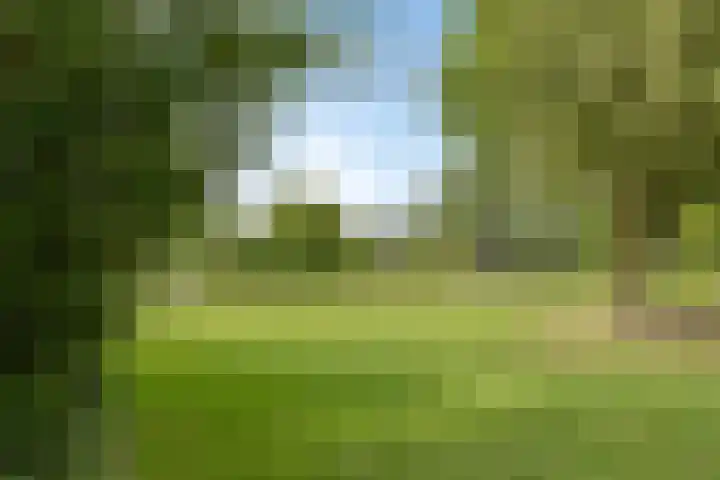 Roerdompstraat 2 Uitgeest thumbnail 34