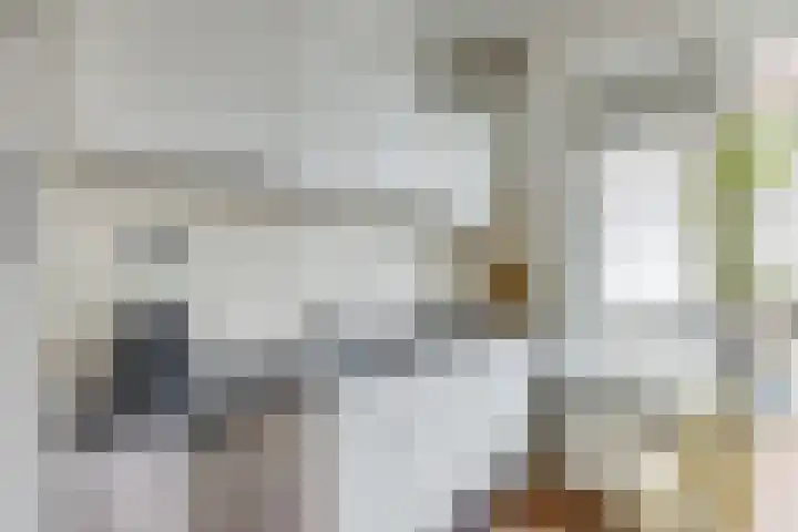 Roerdompstraat 2 Utrecht thumbnail 13