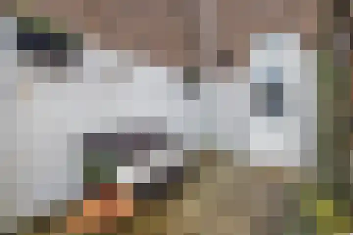 Roerdompstraat 2 Utrecht thumbnail 21