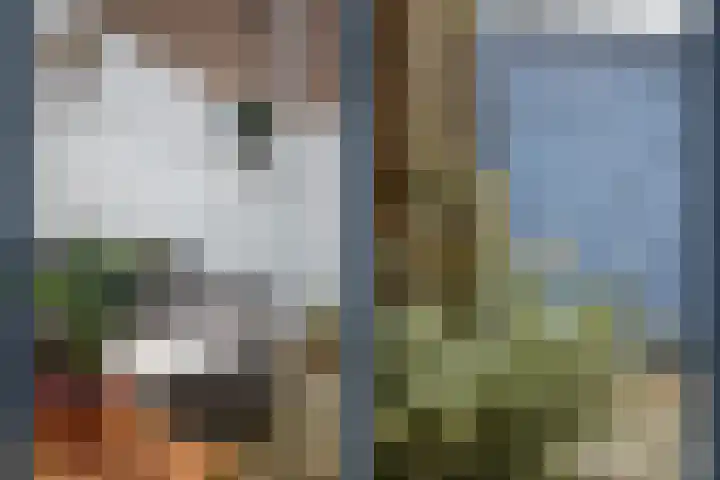 Roerdompstraat 2 Utrecht thumbnail 22