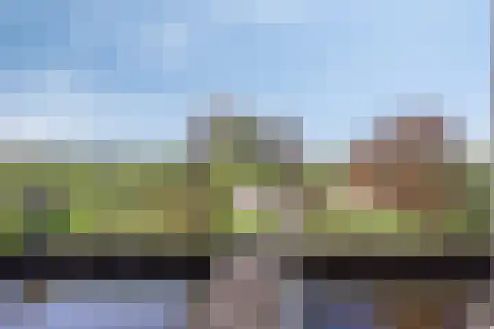 Roerdompstraat 20 Kamerik thumbnail 27