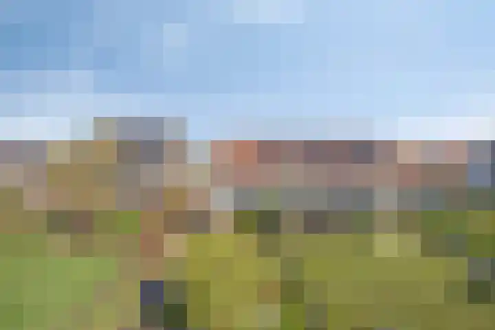 Roerdompstraat 20 Kamerik thumbnail 34