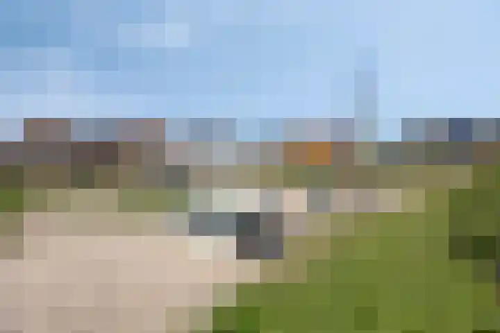 Roerdompstraat 20 Kamerik thumbnail 39