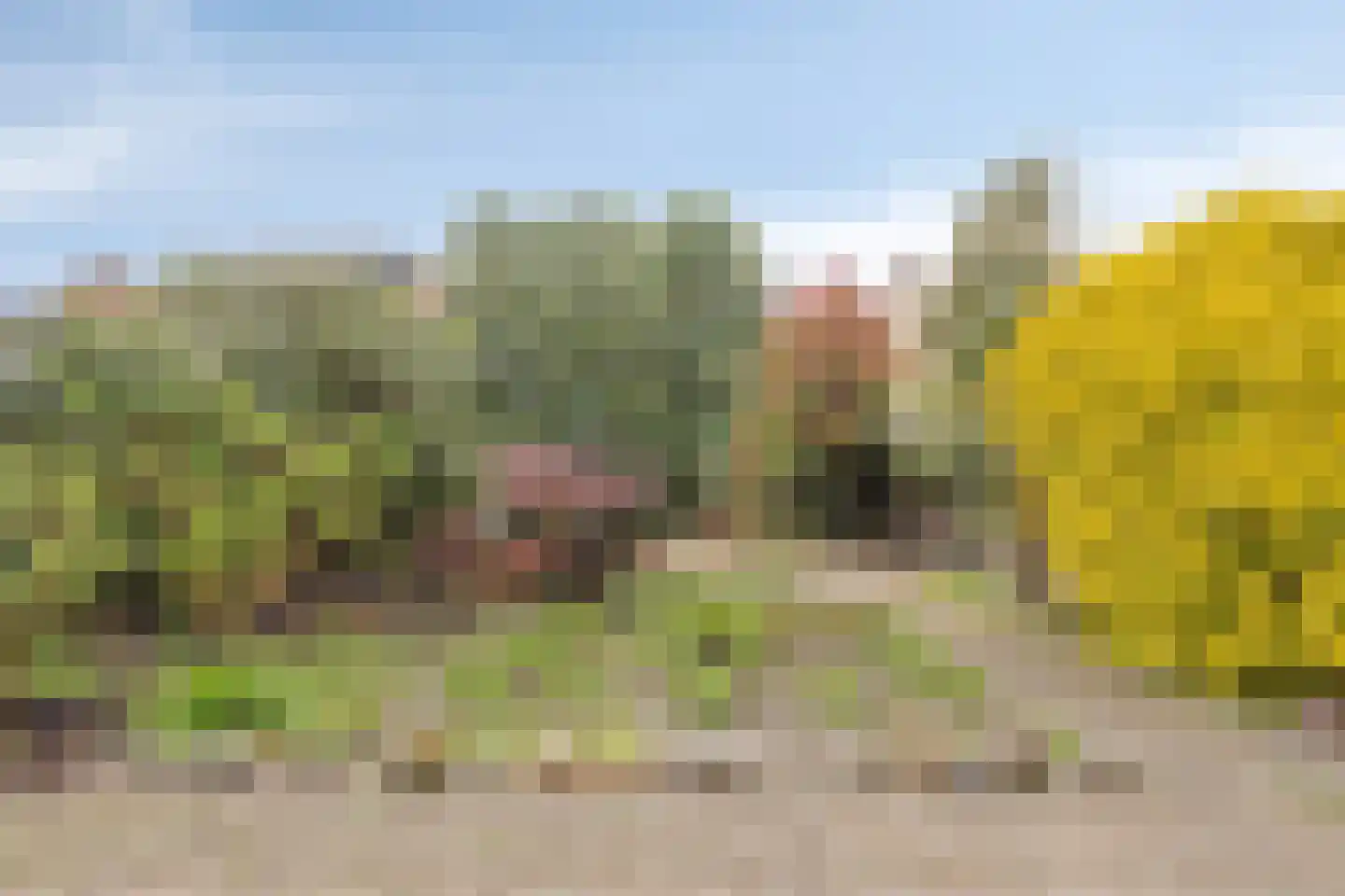 Roerdompstraat 21 Baarn thumbnail 10