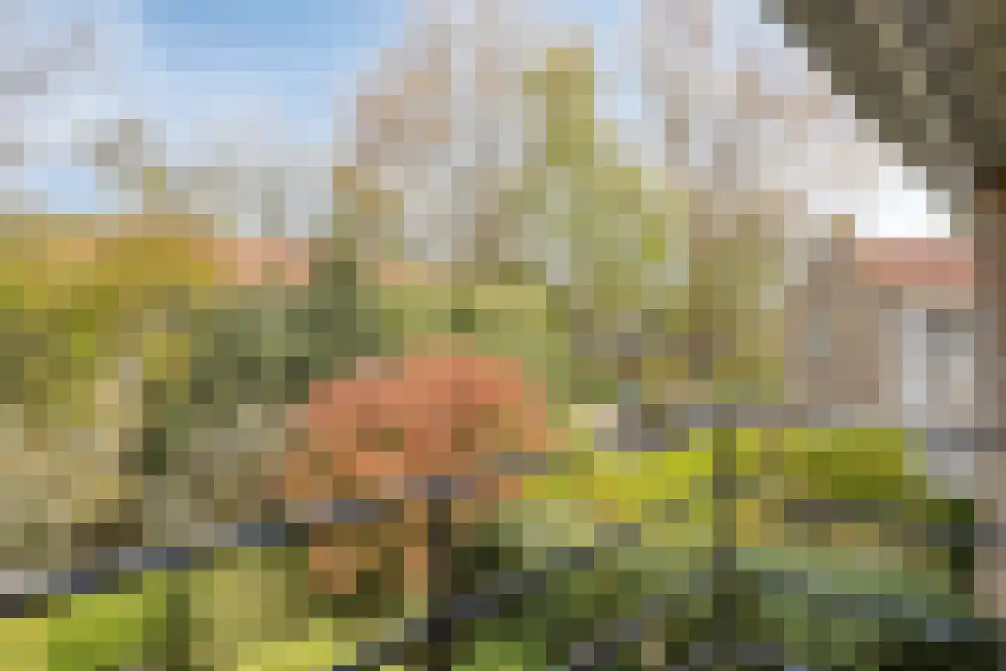Roerdompstraat 21 Baarn thumbnail 16