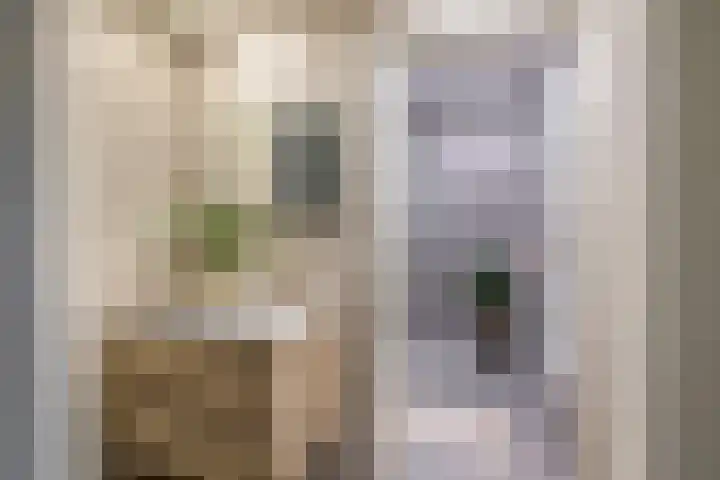 Roerdompstraat 21 Den Haag thumbnail 33