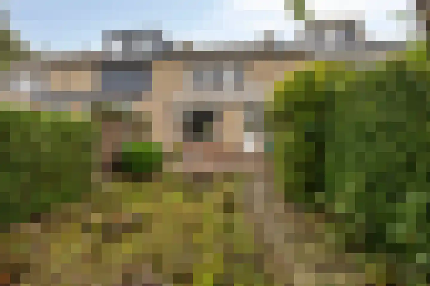 Roerdompstraat 21 Sliedrecht thumbnail 24