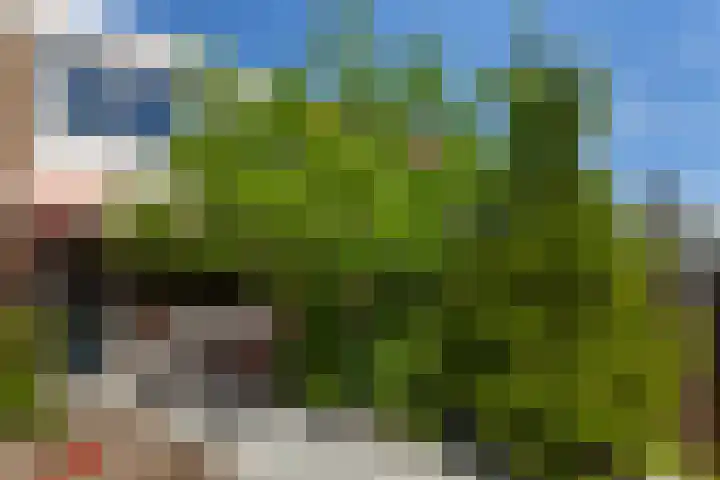 Roerdompstraat 22 Alblasserdam thumbnail 26
