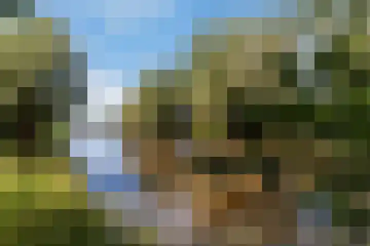 Roerdompstraat 22 Alblasserdam thumbnail 29