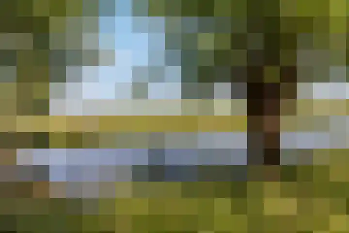 Roerdompstraat 22 Alblasserdam thumbnail 30