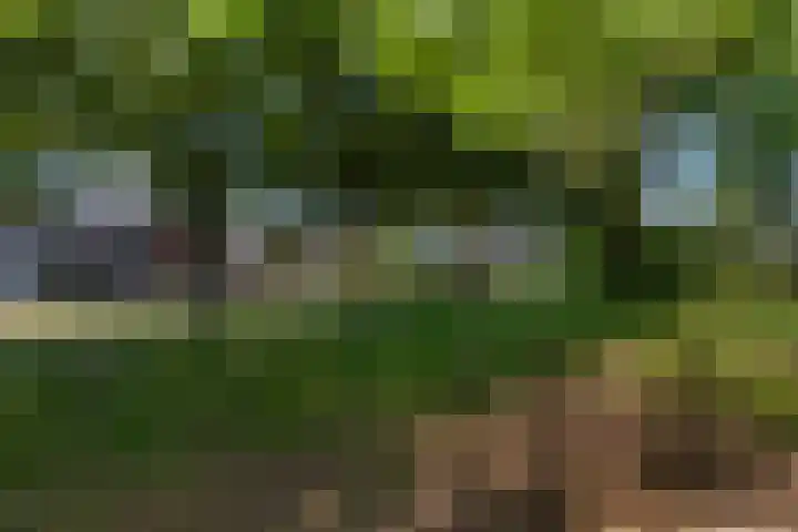 Roerdompstraat 22 Alblasserdam thumbnail 31