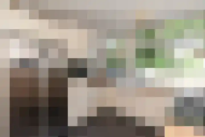 Roerdompstraat 22 Alblasserdam thumbnail 8