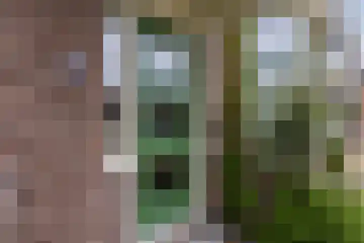 Roerdompstraat 26 Wormer thumbnail 10