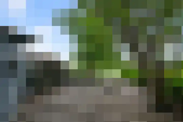 Roerdompstraat 26 Wormer thumbnail 14