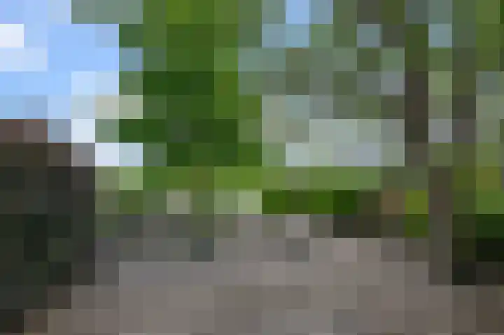 Roerdompstraat 26 Wormer thumbnail 15