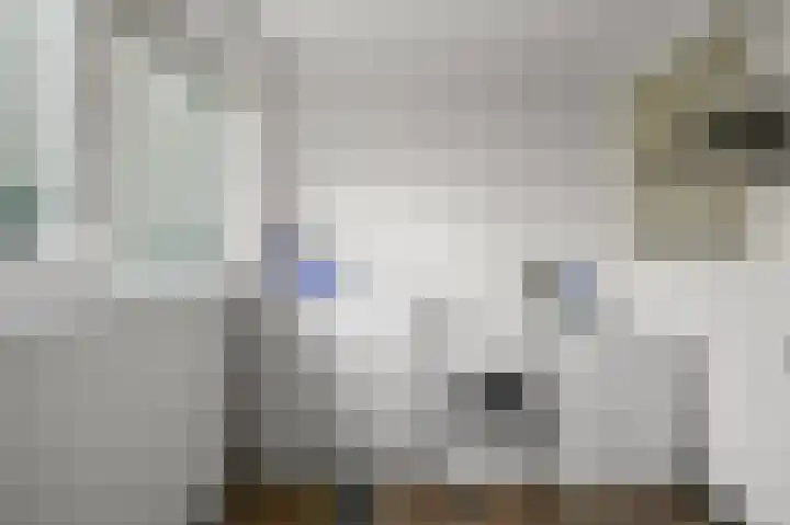 Roerdompstraat 26 Wormer thumbnail 21