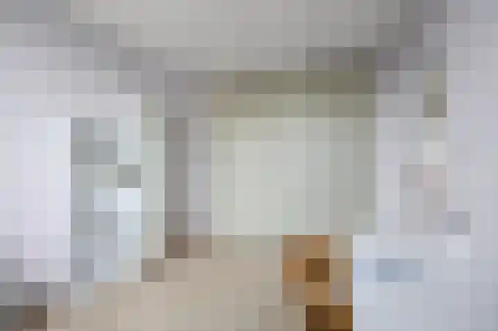 Roerdompstraat 26 Wormer thumbnail 35