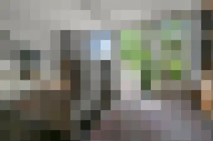 Roerdompstraat 26 Wormer thumbnail 4