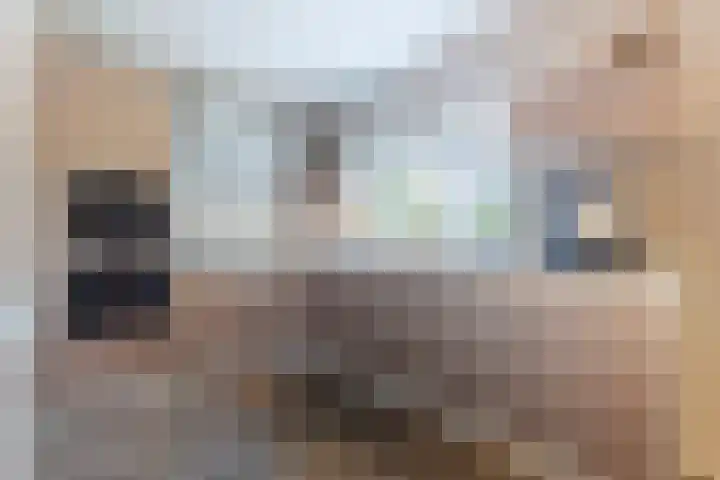 Roerdompstraat 27 Schelluinen thumbnail 14