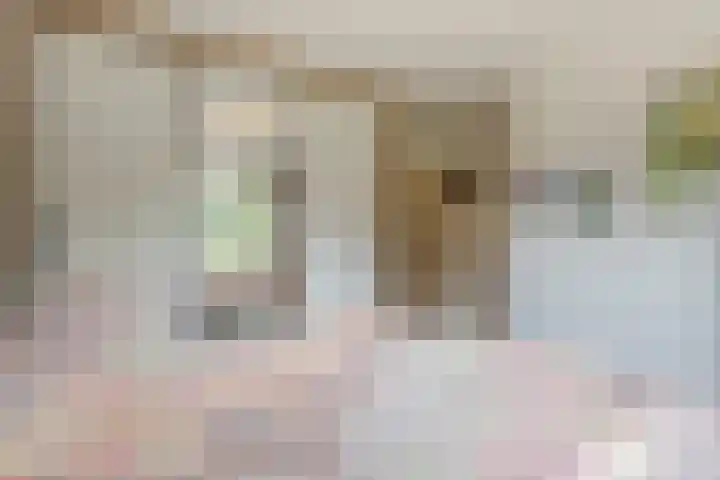 Roerdompstraat 27 Schelluinen thumbnail 17