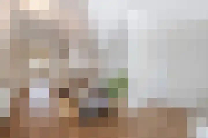 Roerdompstraat 27 Schelluinen thumbnail 23