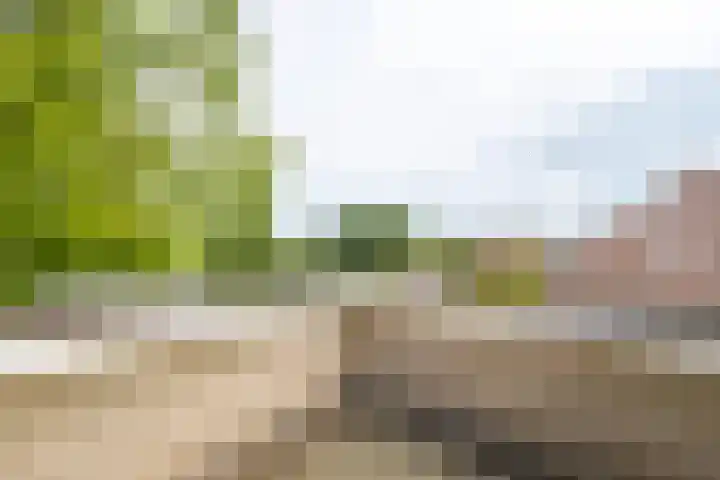 Roerdompstraat 27 Schelluinen thumbnail 30