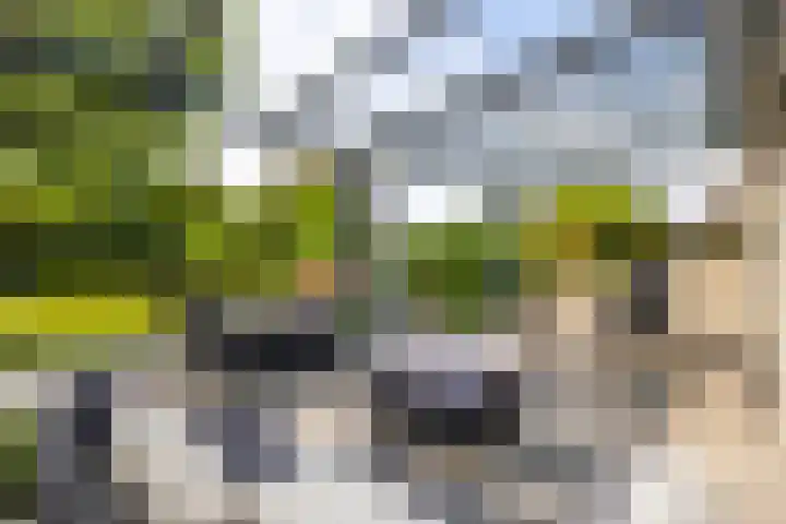Roerdompstraat 27 Schelluinen thumbnail 31