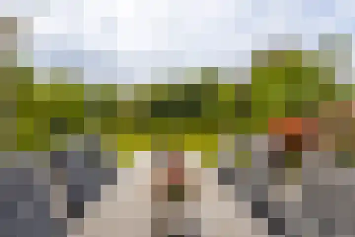 Roerdompstraat 27 Schelluinen thumbnail 33