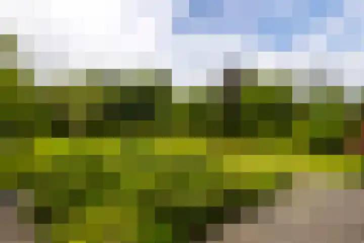 Roerdompstraat 27 Schelluinen thumbnail 34