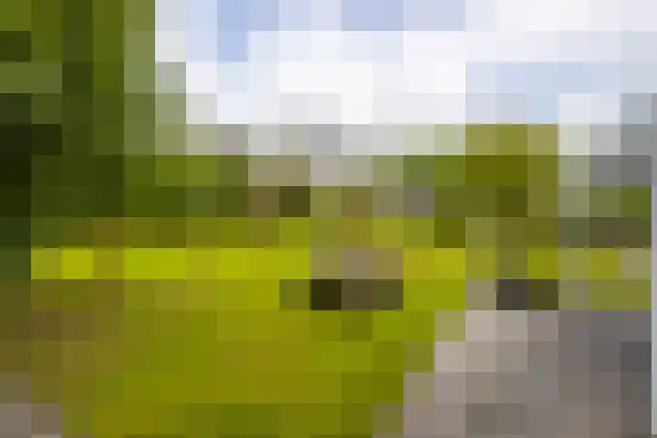 Roerdompstraat 27 Schelluinen thumbnail 35