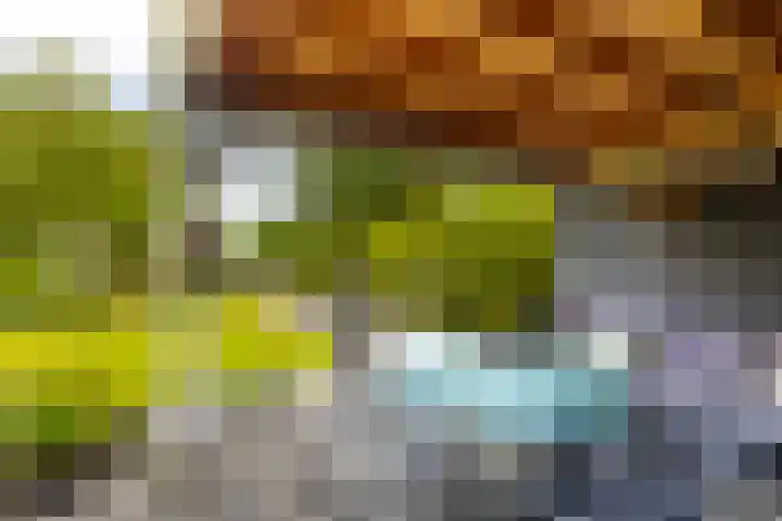 Roerdompstraat 27 Schelluinen thumbnail 36