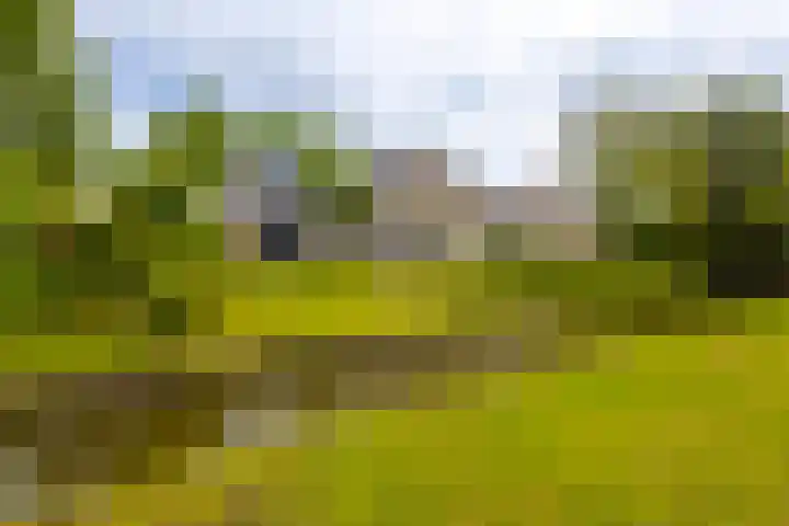Roerdompstraat 27 Schelluinen thumbnail 37
