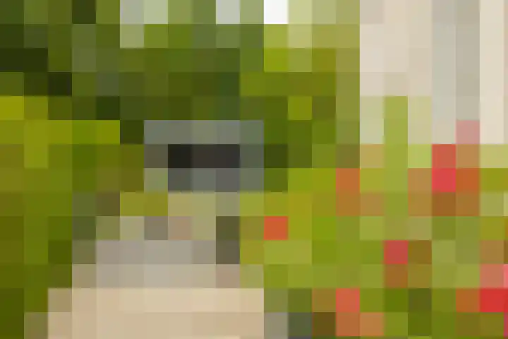Roerdompstraat 27 Schelluinen thumbnail 38