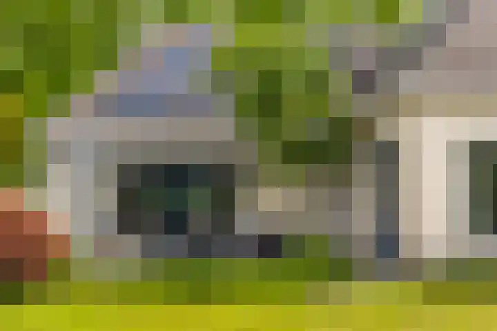 Roerdompstraat 27 Schelluinen thumbnail 39
