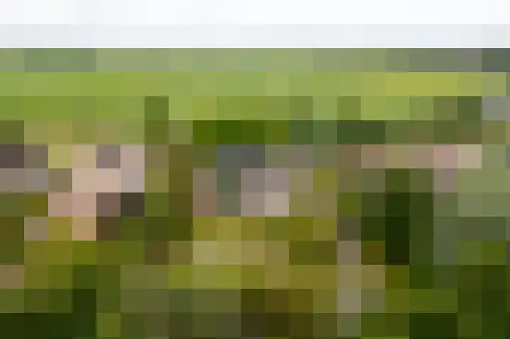 Roerdompstraat 27 Schelluinen thumbnail 4