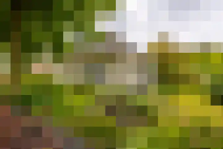 Roerdompstraat 27 Schelluinen thumbnail 41