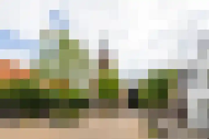 Roerdompstraat 27 Schelluinen thumbnail 42