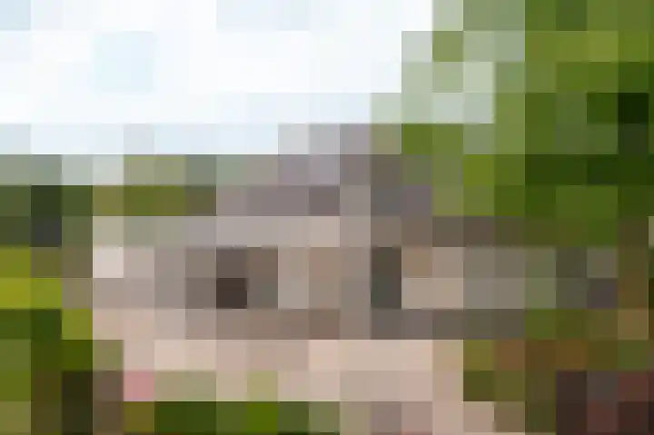 Roerdompstraat 27 Schelluinen thumbnail 45